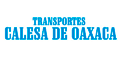 Transportes Calesa De Oaxaca logo