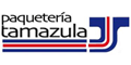 TRANSPORTES DE CARGA TAMAZULA logo