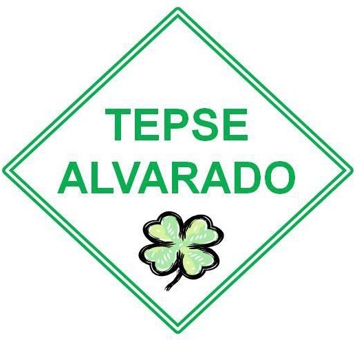 Transportes Escolares Alvarado