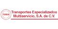 Transportes Especializados Multiservicio Sa De Cv logo