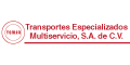 Transportes Especializados Multiservicio Sa De Cv