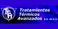 TRATAMIENTOS TERMICOS AVANZADOS