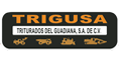 Trigusa logo