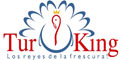 Turking logo