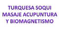 Turquesa Soqi Masaje, Acupuntura, Biomagnetismo logo