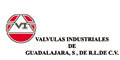 Valvulas Industriales De Guadalajara S De Rl De Cv