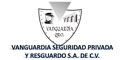 VANGUARDIA SEGURIDAD PRIVADA Y RESGUARDO SA DE CV logo