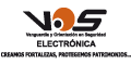 Vanguardia Y Orientacion En Seguridad Electronica