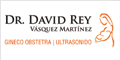 VASQUEZ MARTINEZ DAVID REY DR