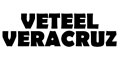 Veetel Veracruz logo