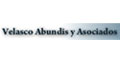 Velasco Abundis Y Asesores Sc logo