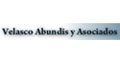 Velasco Abundis Y Asesores Sc