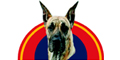 VETERINARIA DEL NOROESTE logo