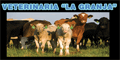 VETERINARIA LA GRANJA