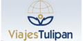 Viajes Tulipan Sa De Cv logo