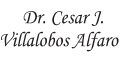 VILLALOBOS ALFARO CESAR JAVIER DR.