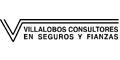 VILLALOBOS CONSULTORES logo