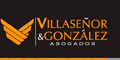 Villaseñor Y Gonzalez Abogados logo