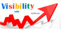 Visibility Now logo