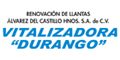 VITALIZADORA DURANGO logo