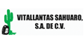 VITALLANTAS SAHUARO SA DE CV logo