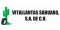 VITALLANTAS SAHUARO SA DE CV