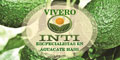 Vivero Inti:Especialista En Aguacate Hass logo
