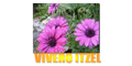 VIVERO ITZEL logo
