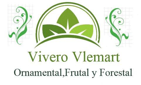 VIVERO VLEMART logo
