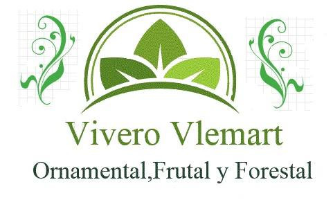 VIVERO VLEMART