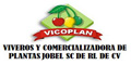 Viveros Y Comercializadora De Plantas Jobel Sc De Rl De Cv logo