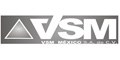 Vsm Mexico logo
