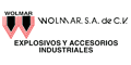 WOLMAR S.A. DE C.V. logo