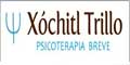 Xochitl Trillo Psicoterapia Breve