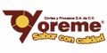 YOREME CORTES Y PROCESOS SA DE CV