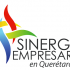 Sinergia Empresarial en Querétaro S.C.