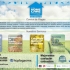 The Home Care Professionals