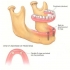 ODONTOLOGIA INTEGRAL PROFESIONAL