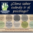 Psicólogos Crecimiento Integral