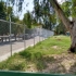 SONORA FENCE