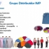 Grupo Distribuidor IMP