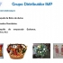 Grupo Distribuidor IMP