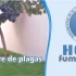 Hego Fumigación
