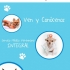 Petite Veterinaria
